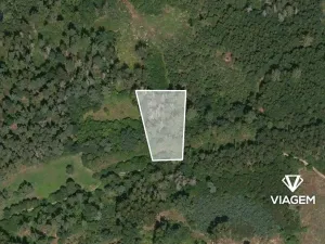 Prodej lesa, Pačejov, 539 m2