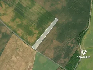 Prodej pole, Veliká Ves, 8750 m2