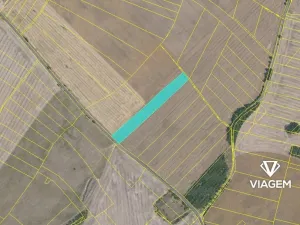 Prodej pole, Veliká Ves, 8750 m2