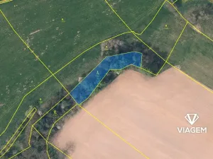 Prodej lesa, Jablonné v Podještědí, 1732 m2