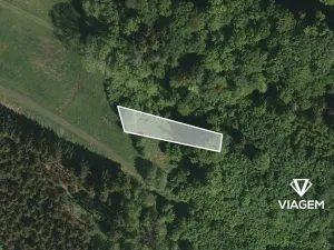 Prodej lesa, Vlachovice, 659 m2