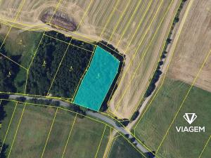 Prodej podílu lesa, Brodek u Konice, 981 m2