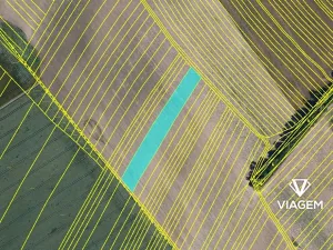 Prodej podílu pole, Mikulčice, 2492 m2