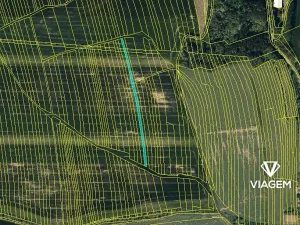 Prodej pole, Boršice, 2009 m2