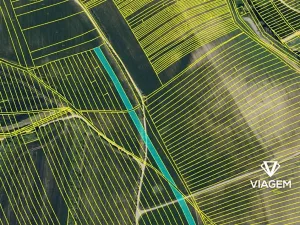 Prodej podílu pole, Archlebov, 3513 m2