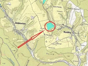Prodej podílu lesa, Košíky, 8165 m2