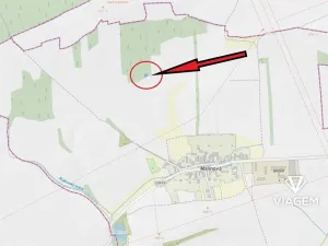 Prodej lesa, Malinová, 233 m2