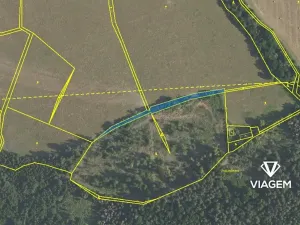 Prodej podílu lesa, Čím, 13775 m2