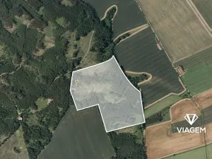 Prodej podílu lesa, Palonín, 36784 m2