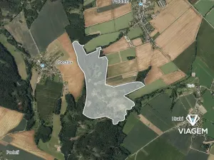 Prodej podílu lesa, Palonín, 94082 m2