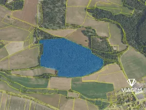 Prodej podílu lesa, Korkyně, 46018 m2