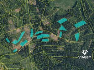 Prodej podílu lesa, Železný Brod, 27889 m2