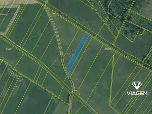 Prodej podílu pole, Borkovice, 1194 m2