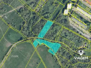 Prodej lesa, Ústí nad Labem, 5998 m2