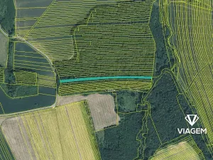 Prodej podílu lesa, Ostrožská Lhota, 978 m2