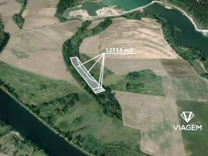 Prodej podílu lesa, Záryby, 1009 m2