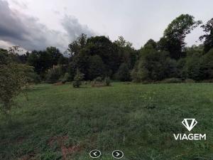 Prodej podílu lesa, Zlatá Olešnice, 963 m2