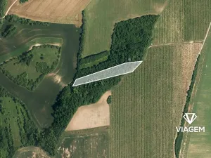 Prodej podílu lesa, Kyjov, 1102 m2