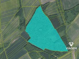 Prodej podílu lesa, Bánov, 76909 m2