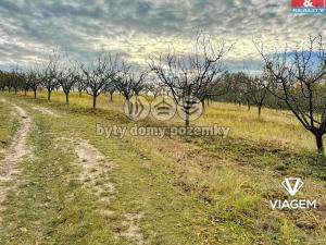 Prodej podílu pole, Roudnice nad Labem, 2009 m2