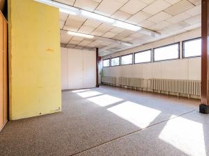 Prodej obchodního prostoru, Kolín, Sladkovského, 1465 m2
