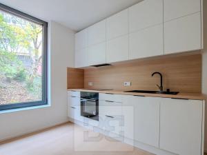Pronájem bytu 2+kk, Praha - Libeň, Na Okrouhlíku, 52 m2