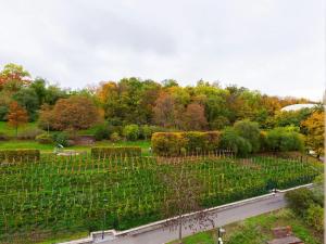 Pronájem bytu 2+kk, Praha - Žižkov, Tachovské náměstí, 50 m2