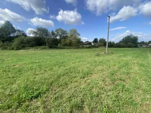 Dražba louky, Čížkov, 1885 m2