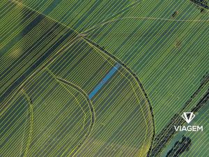 Prodej pole, Strání, 1517 m2