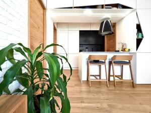 Pronájem bytu 2+kk, Praha - Nusle, Horní, 45 m2