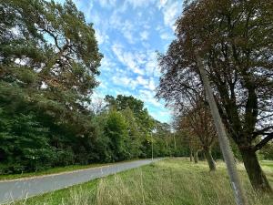 Prodej pozemku pro bydlení, Luštěnice, 9368 m2