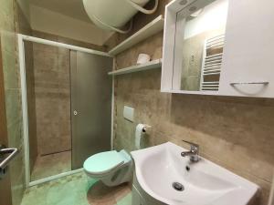 Pronájem bytu 1+1, Ostrava, Daliborova, 41 m2