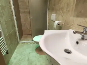 Pronájem bytu 1+1, Ostrava, Daliborova, 41 m2