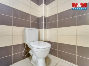 Pronájem bytu 1+kk, Sytno, 31 m2