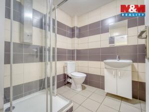 Pronájem bytu 1+1, Sytno, 49 m2