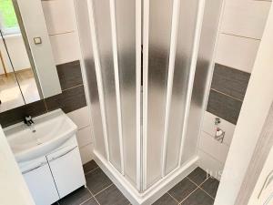 Pronájem bytu 2+1, Ústí nad Labem, Ladova, 61 m2