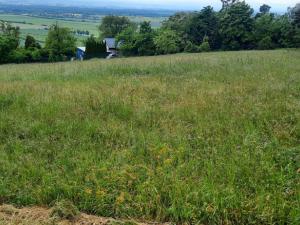 Prodej zahrady, Olomouc - Droždín, 1419 m2