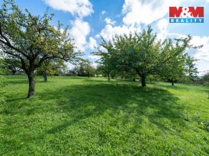 Pronájem zahrady, Letkov, 3585 m2