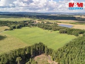 Prodej pole, Přimda - Mlýnec, 238031 m2