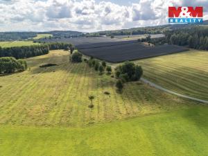 Prodej pole, Přimda - Mlýnec, 238031 m2