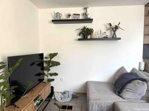 Pronájem bytu 1+kk, Hradec Králové, Pražská třída, 35 m2