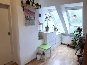 Pronájem bytu 2+kk, Plzeň, Pod Záhorskem, 76 m2