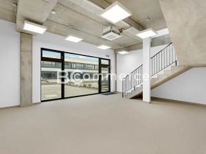 Pronájem skladu, Brno, Vinohradská, 446 m2