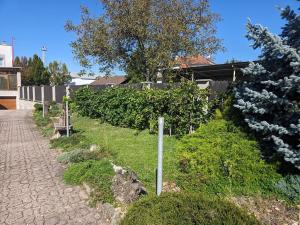 Prodej vily, Staré Město, Tovární, 400 m2