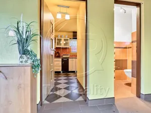 Prodej rodinného domu, Ostrov, 210 m2