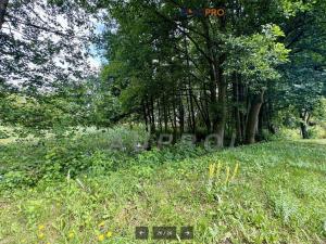 Prodej rodinného domu, Ostrov, 56 m2