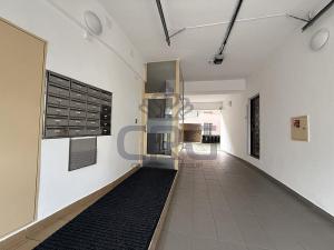 Pronájem bytu 1+1, Brno - Staré Brno, Nové sady, 48 m2