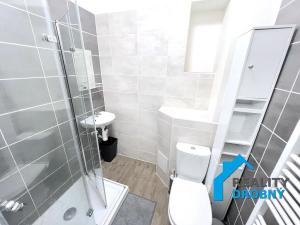 Pronájem bytu 3+kk, Děčín, Na Pěšině, 66 m2