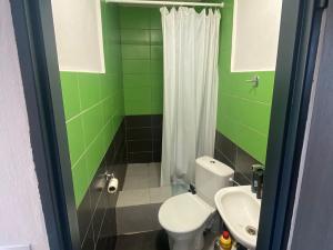 Pronájem výrobních prostor, Cheb, Kamenická, 200 m2