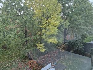 Pronájem kanceláře, Praha - Michle, Pod Stárkou